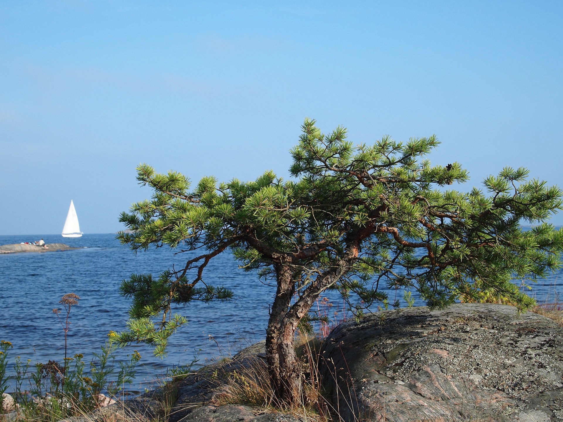 Skärgård